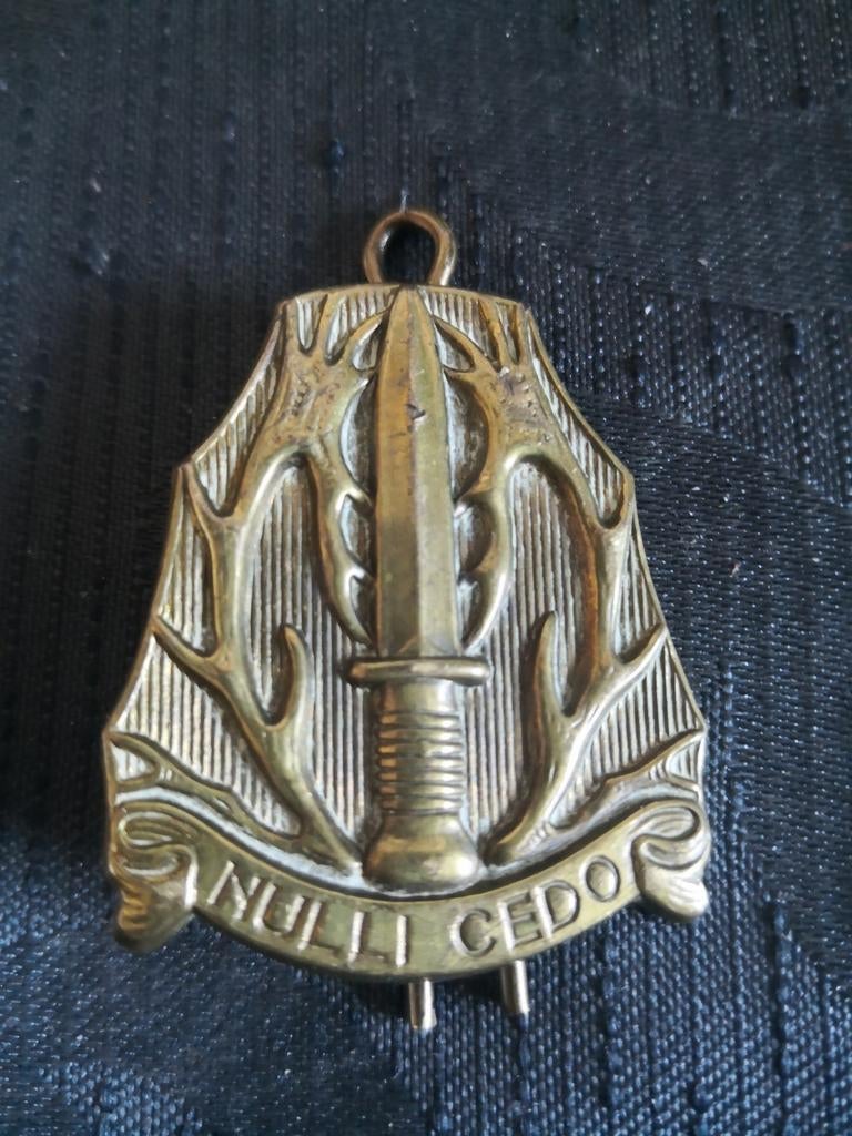 Oud embleem Regiment Stoottroepen, Verzenden, Landmacht, Nederland, Embleem of Badge