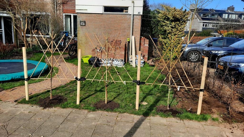 Leifruit Bomen❗️ kers 🍒peer🍐appel 🍐pruimen🫐 half stam, Tuin en Terras, Planten | Fruitbomen, Ophalen, Lente
