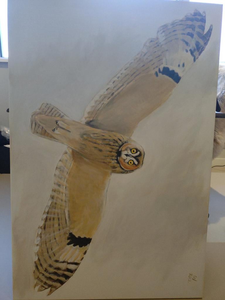 Olie op Doek - Siegfried Woldhek (2012), Ophalen of Verzenden, Zo goed als nieuw