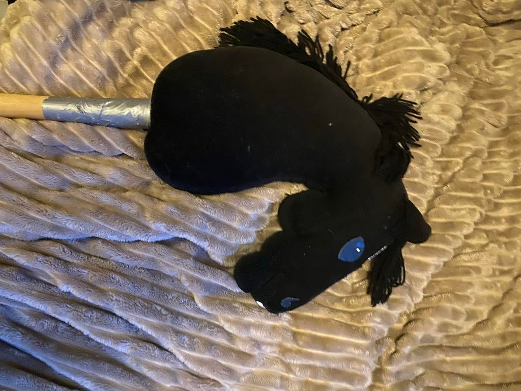 Stokpaard, Dieren en Toebehoren, Ophalen