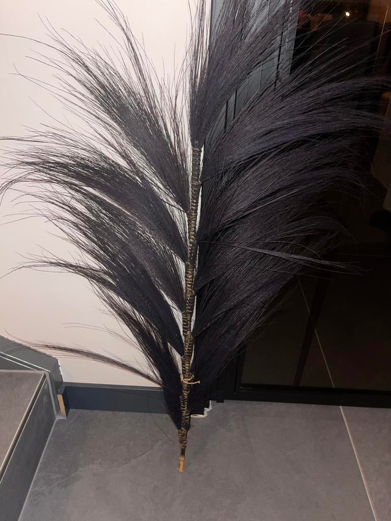 Zwart pluim, Ophalen, Zo goed als nieuw