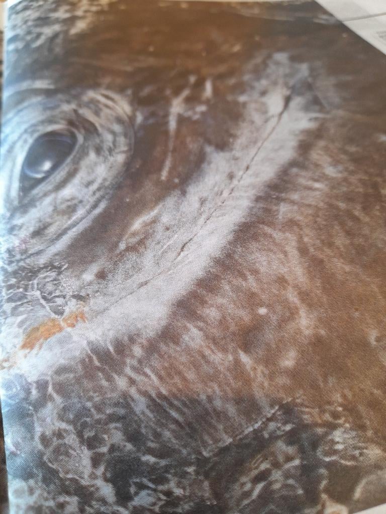 WALVISDAG zondag 15 FEBRUARI, Ophalen of Verzenden