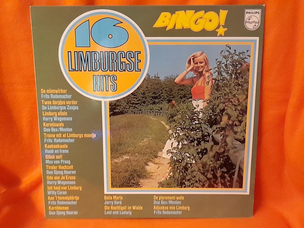 16 Limburgse hits BINGO! Hits uit de jaren '50 en '60, Ophalen of Verzenden, Zo goed als nieuw, 12 inch, Levenslied of Smartlap