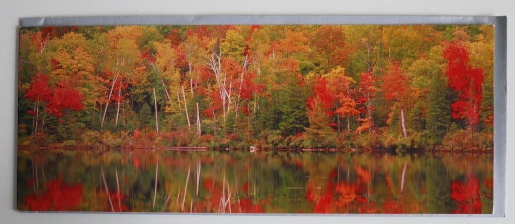Bomen in herfstkleuren aan meer, herfstlandschap, Hallmark, Verzamelen, Ansichtkaarten | Themakaarten, Ophalen of Verzenden, 1980 tot heden