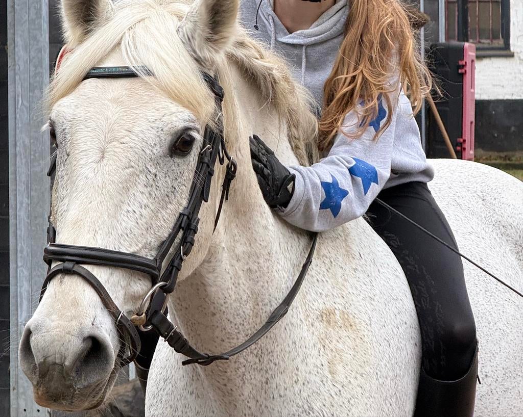 Verzorger/bijrijder aangeboden, Ophalen