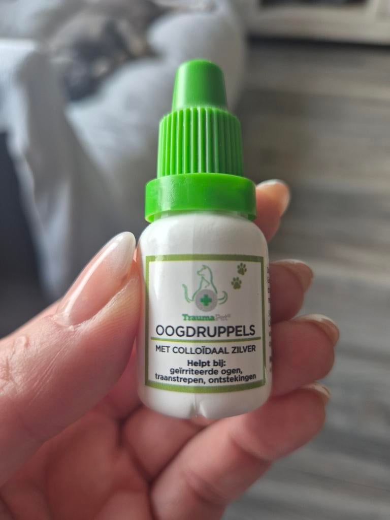 Oogdruppels kat, Ophalen, Nieuw