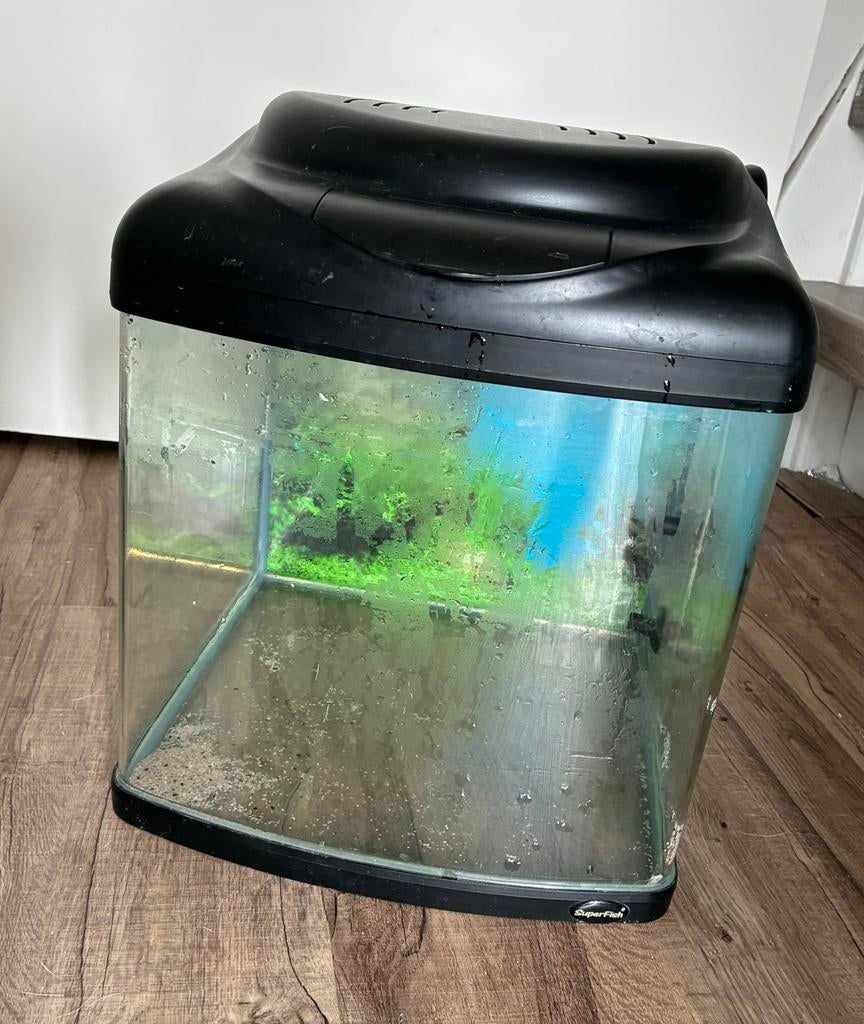 Aquarium, Dieren en Toebehoren, Vissen | Aquaria en Toebehoren, Ophalen, Gebruikt, Leeg aquarium