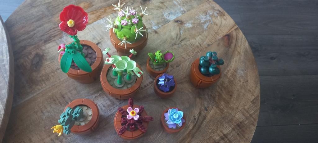 Lego cactussen, Ophalen of Verzenden