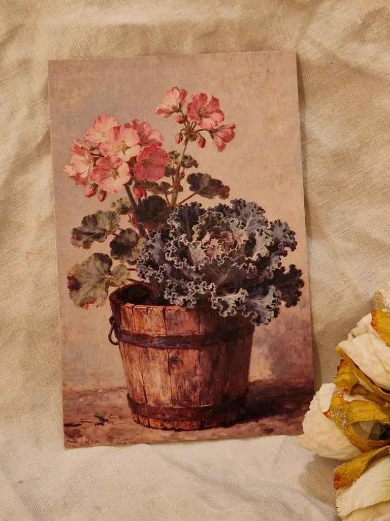 Ansichtkaart. "Geranium en kool in houten ton"., Verzenden, Nieuw