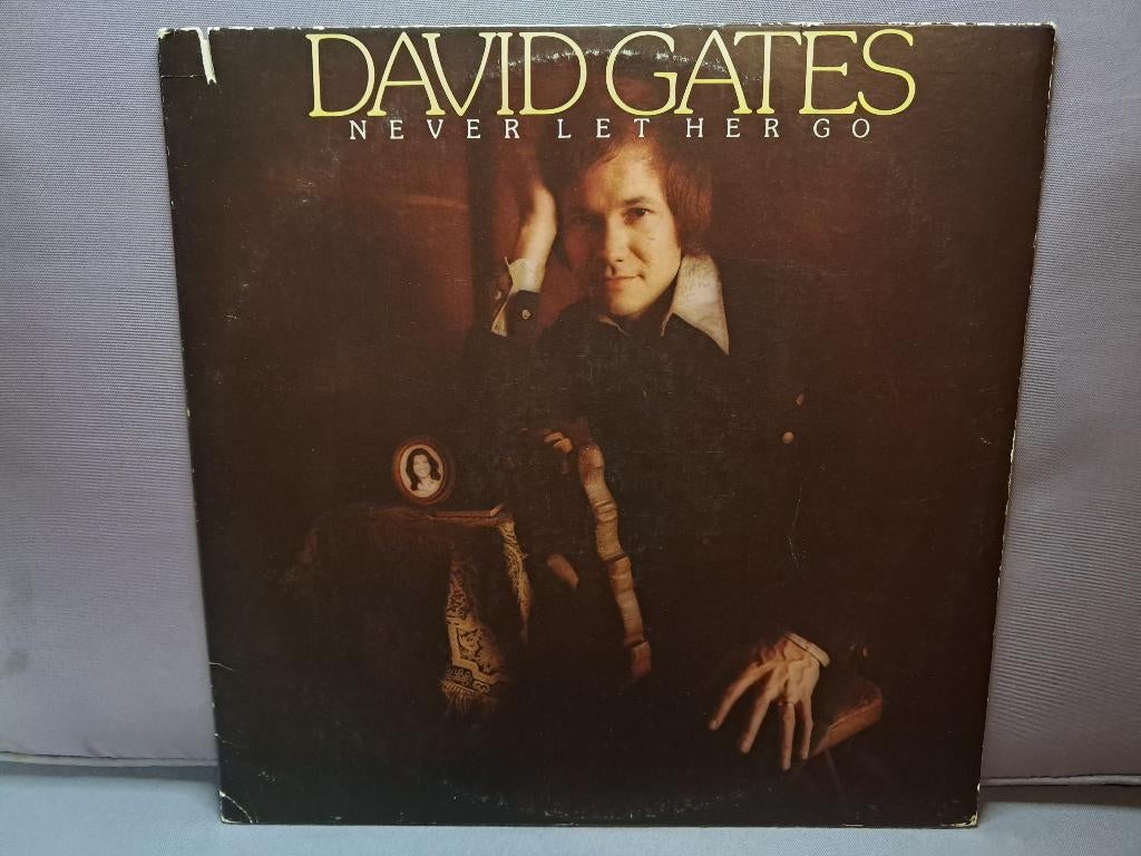 lp. rock. david gates. ex+, Cd's en Dvd's, Ophalen of Verzenden, Gebruikt, 12 inch
