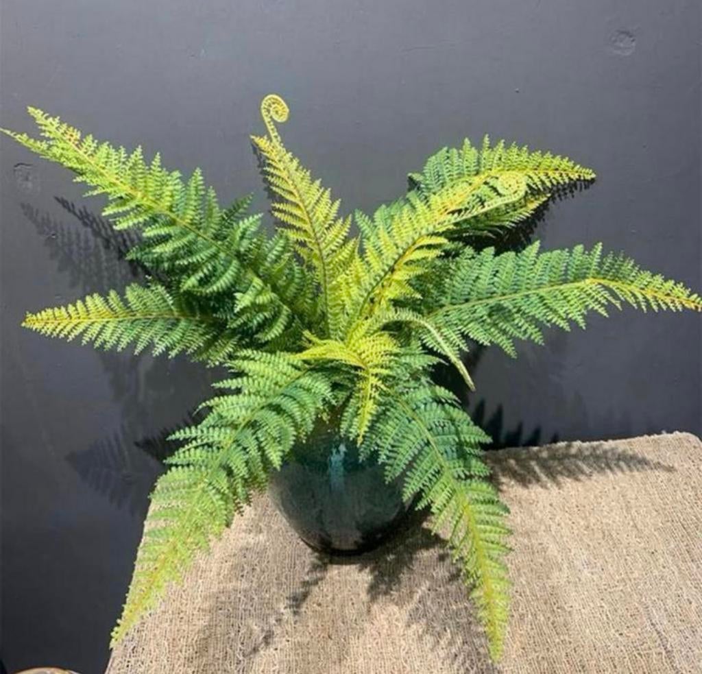 Kunst Boston Varen Plant / Grote Nepplant met Sierbladeren, Verzenden, Nieuw