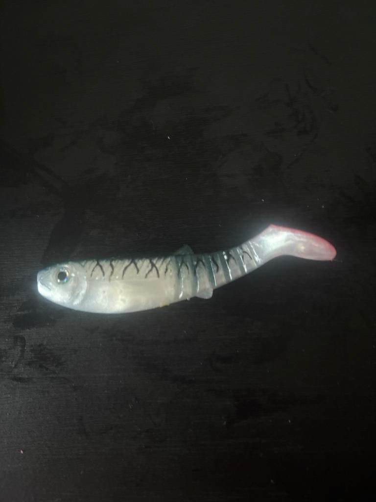 Softbait aasjes voor roofvis 6 stuks, Watersport en Boten, Hengelsport | Roofvissen, Ophalen of Verzenden, Nieuw, Overige typen