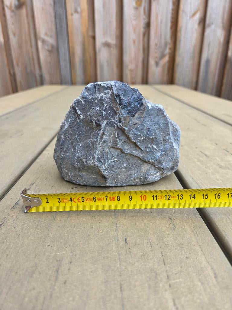 Aquariumsteen, Ophalen