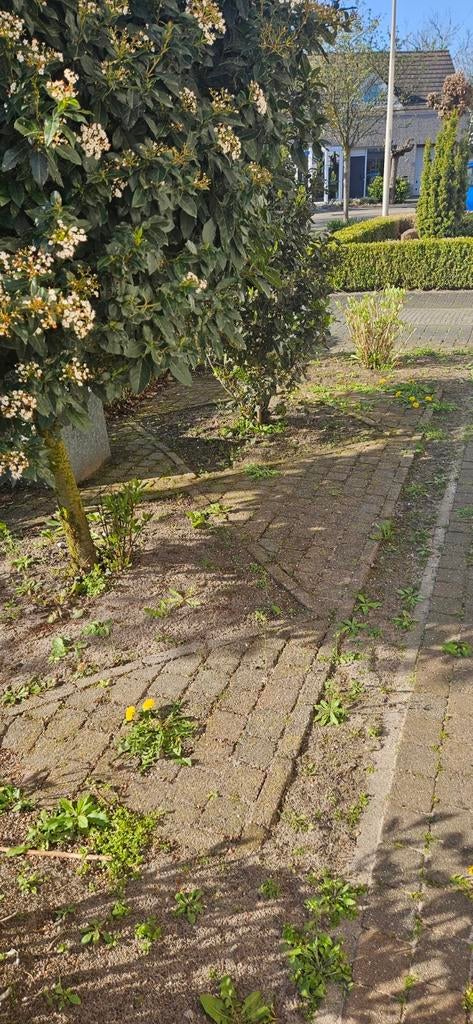 GRATIS!!! Koppelsteentjes 10x10cm, Tuin en Terras, Tegels en Klinkers, Ophalen, Gebruikt, Beton, Klinkers