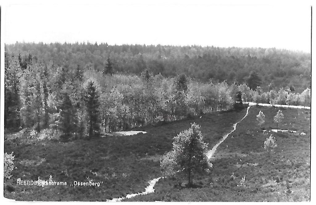 Heerde Ossenberg Oude Ongelopen Ansichtkaart (B629), Verzamelen, Ophalen of Verzenden, 1960 tot 1980, Ongelopen
