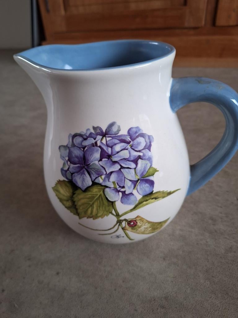 Mooie kan hortensia, Ophalen of Verzenden