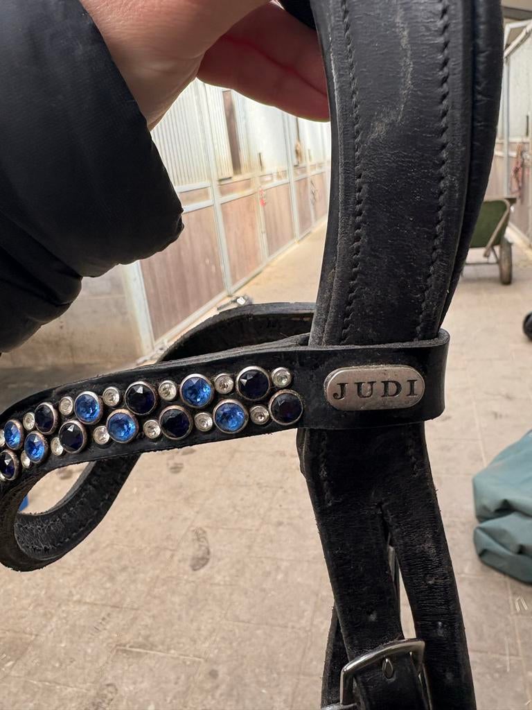 Judi frontriem, Ophalen of Verzenden, Zo goed als nieuw, Dressuur