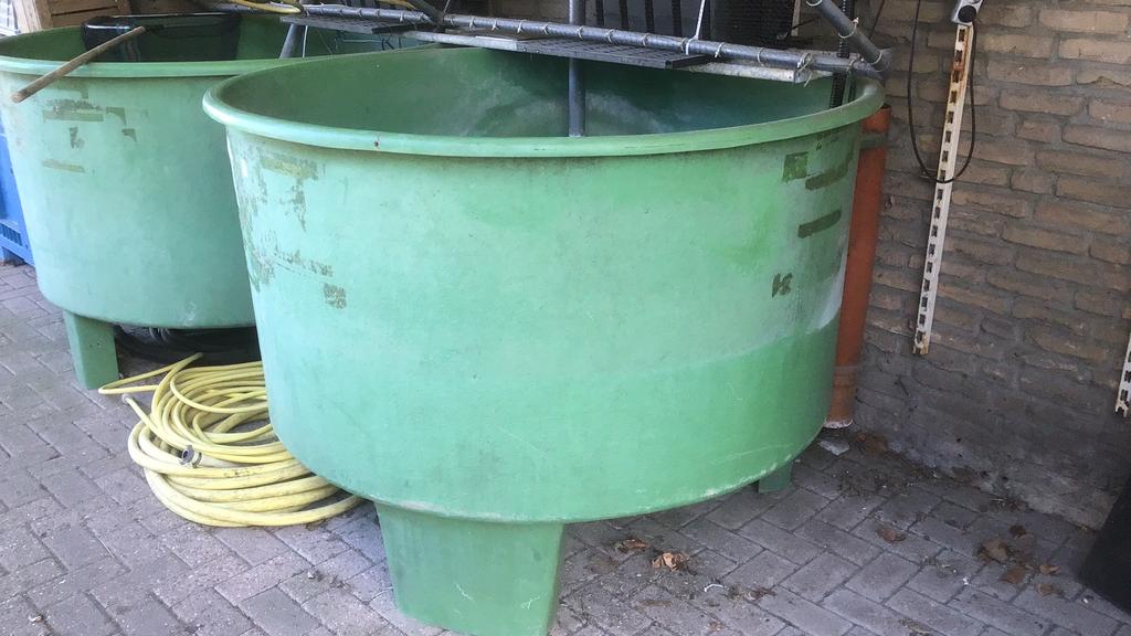 Vijverbak, quarantaine bak, vis bak, Ophalen, Nvt., Vijverbak, Gebruikt