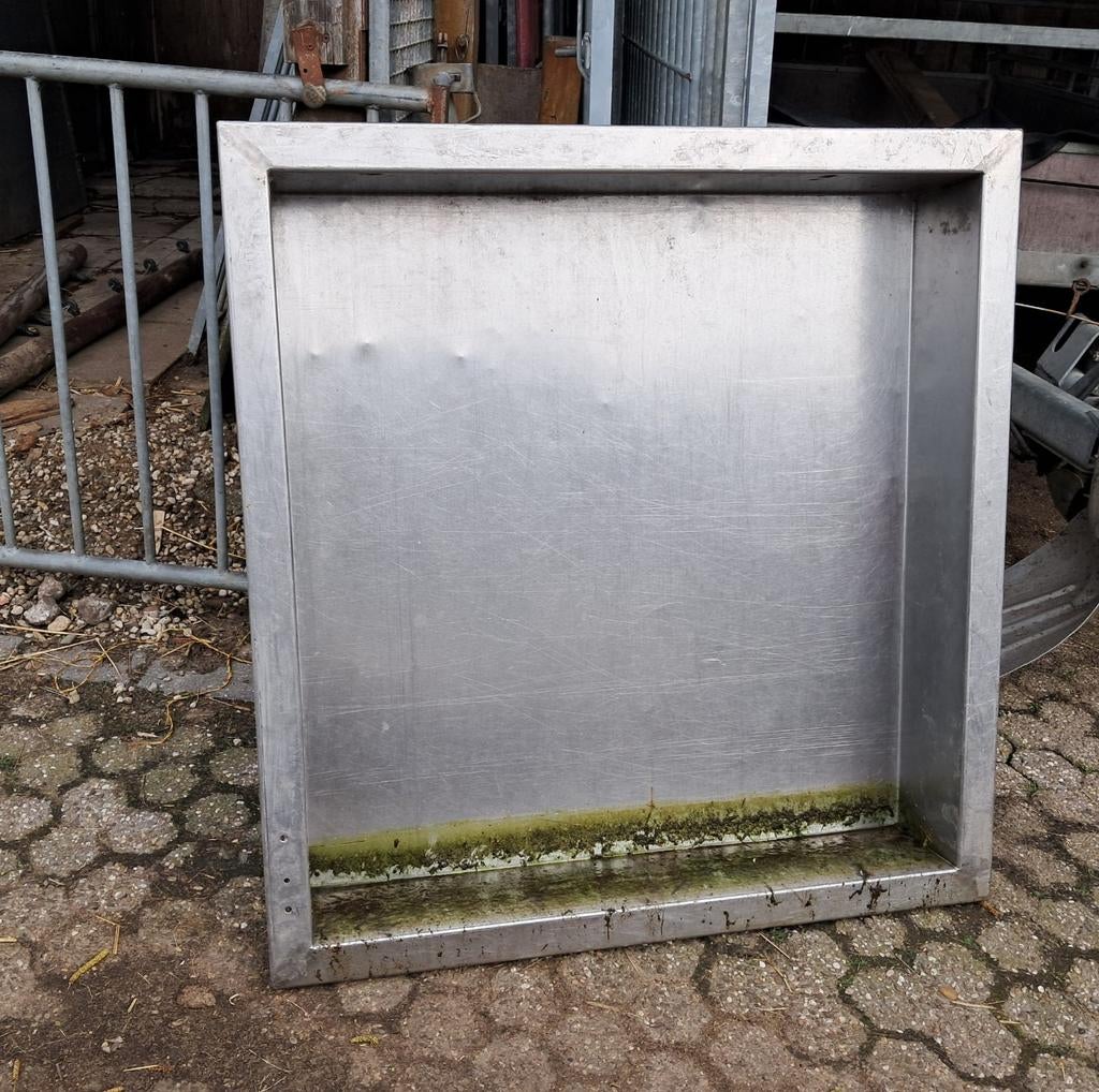 3 rvs voerbakken., Meerdere dieren, Varken