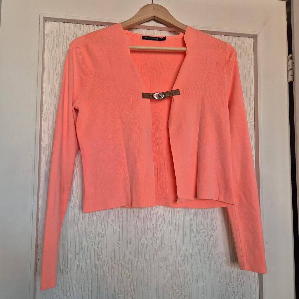 River Woods | pink | vest | design | L | 40, Kleding | Dames, Maat 38/40 (M), River Woods, Ophalen of Verzenden, Zo goed als nieuw