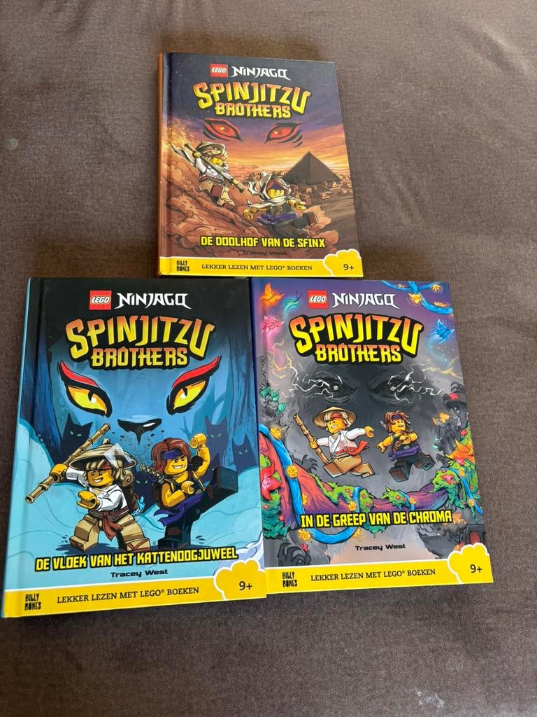 LEGO Ninjago spinjitzu brothers -serie, Ophalen of Verzenden, Zo goed als nieuw