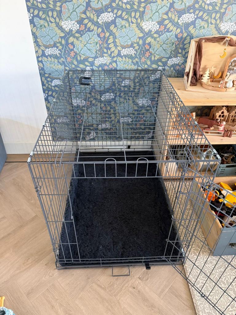 Puppy uitzet labradoodle, Dieren en Toebehoren, Hondenbenches, Ophalen, Nieuw