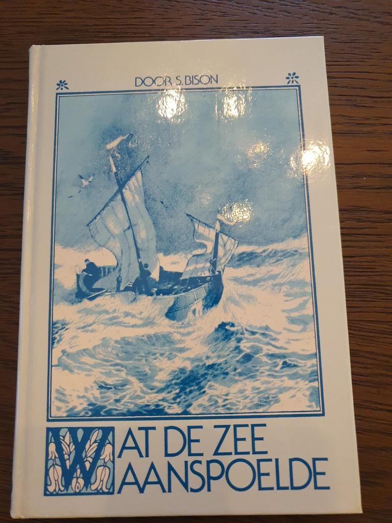 Wat de zee aanspoelde - S. Bison (Jeugdboek), Ophalen of Verzenden, Gelezen, S. Bison