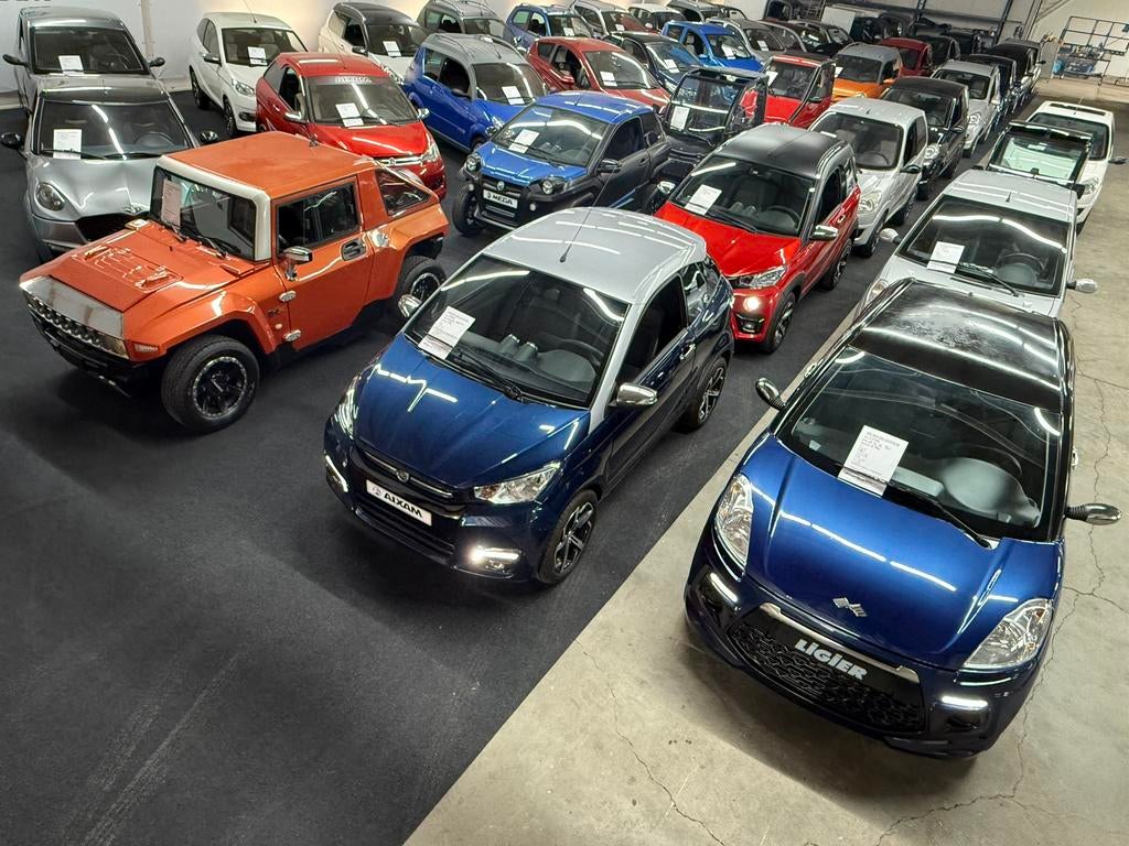 BIRO CANTA (Gratis geleverd) Aixam Citroen Ami Rocks, Ophalen, 46 km of meer, Canta, 16 km/u of meer