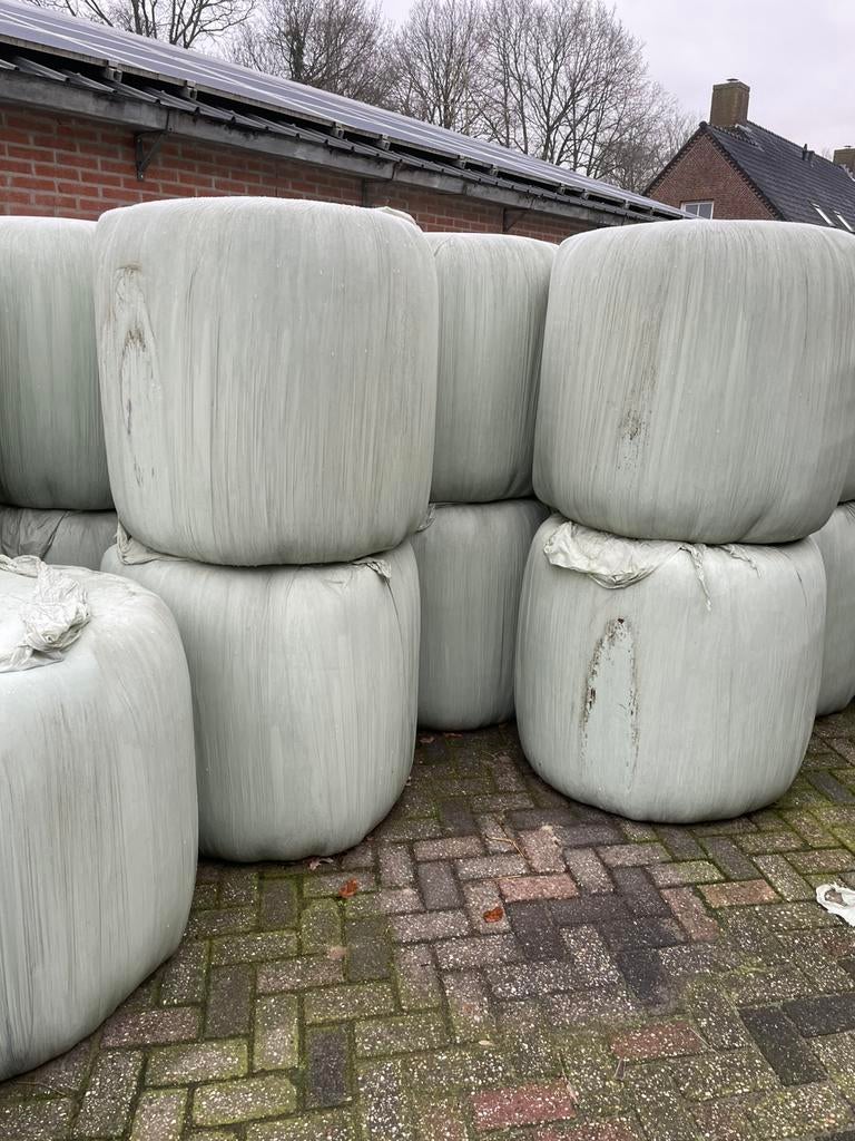 Midibalen hooi, Dieren en Toebehoren, Ophalen of Verzenden, Vee