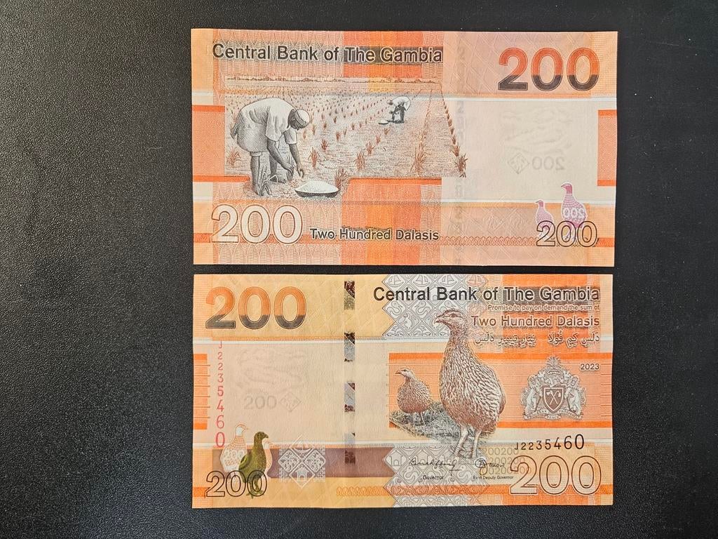 Gambia pick W42 2023 UNC, Postzegels en Munten, Bankbiljetten | Afrika, Ophalen of Verzenden, Overige landen, Los biljet