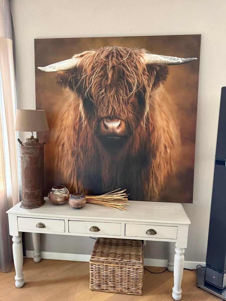 Canvas doek Schotse Hooglander 140x140 cm, Nieuw, 125 cm of meer, Ophalen of Verzenden, Print