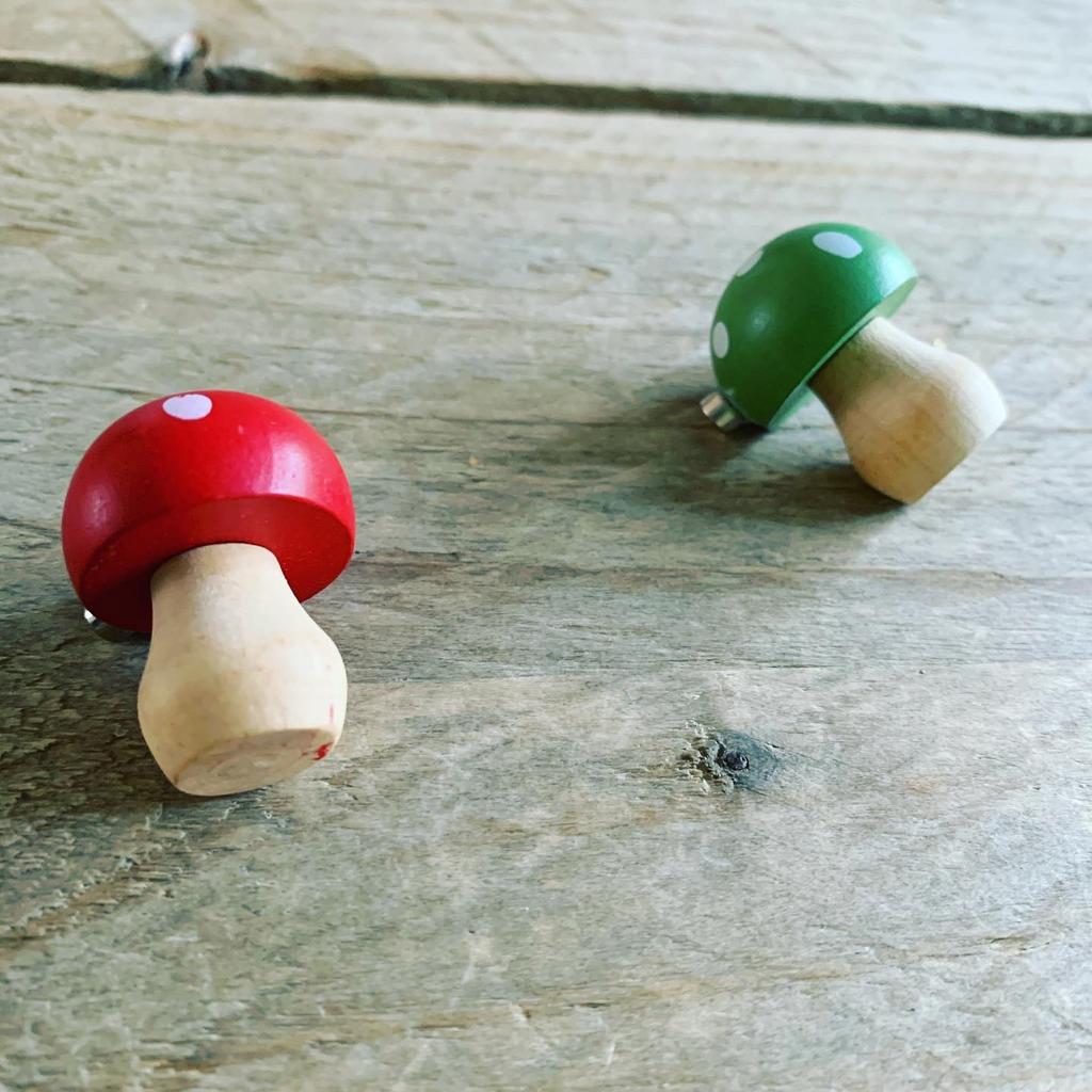 Paddenstoelen, Ophalen of Verzenden, Nieuw