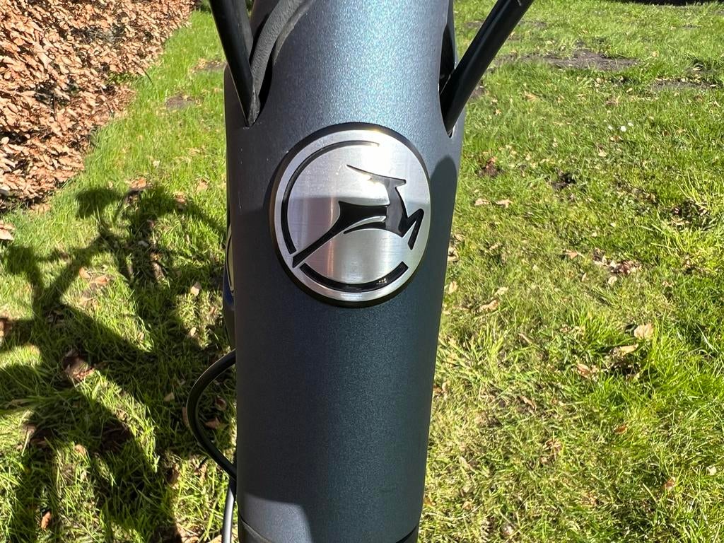 Gazelle elektrische herenfiets met belt drive, Fietsen en Brommers, Elektrische fietsen, Gebruikt, Gazelle, 59 cm of meer, Ophalen