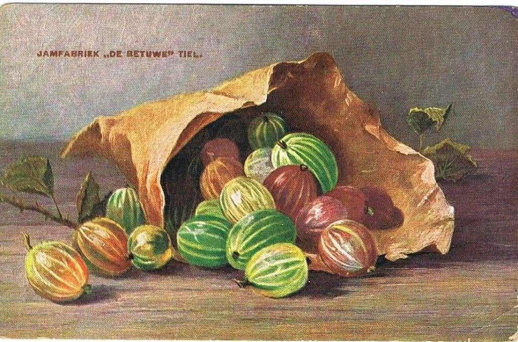 Gezocht: Fruitkaart Mij. de Betuwe 4 stuks ( zie foto's), Ophalen, Voor 1920