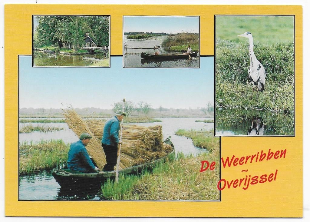 Weerribben Overijssel ongelopen Ansichtkaart (B2389 ), Ophalen of Verzenden, 1980 tot heden, Ongelopen, Overijssel