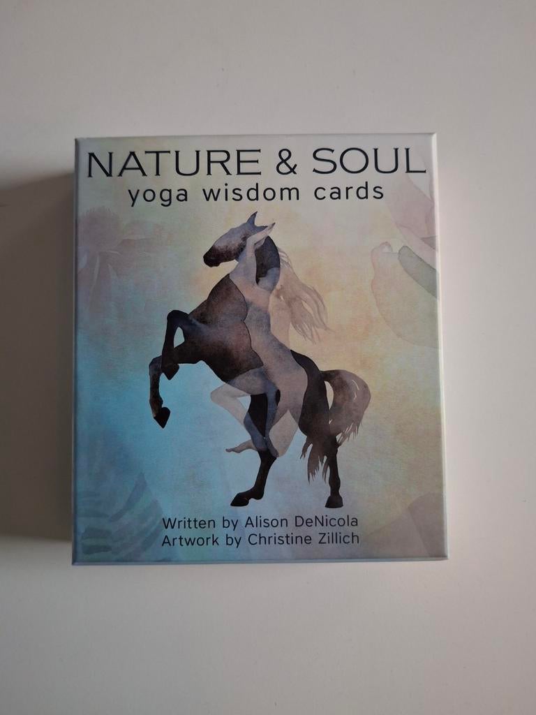 Yoga Wisdom Cards - Zo Goed Als Nieuw, Boeken, Meditatie of Yoga, Overige typen, Ophalen of Verzenden, Alison DeNicola