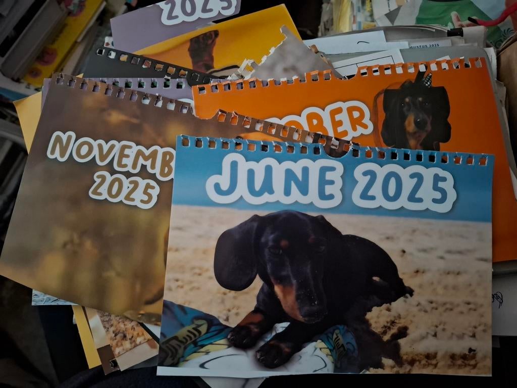 Foto's dashond kalender 2025, Ophalen of Verzenden, Nieuw