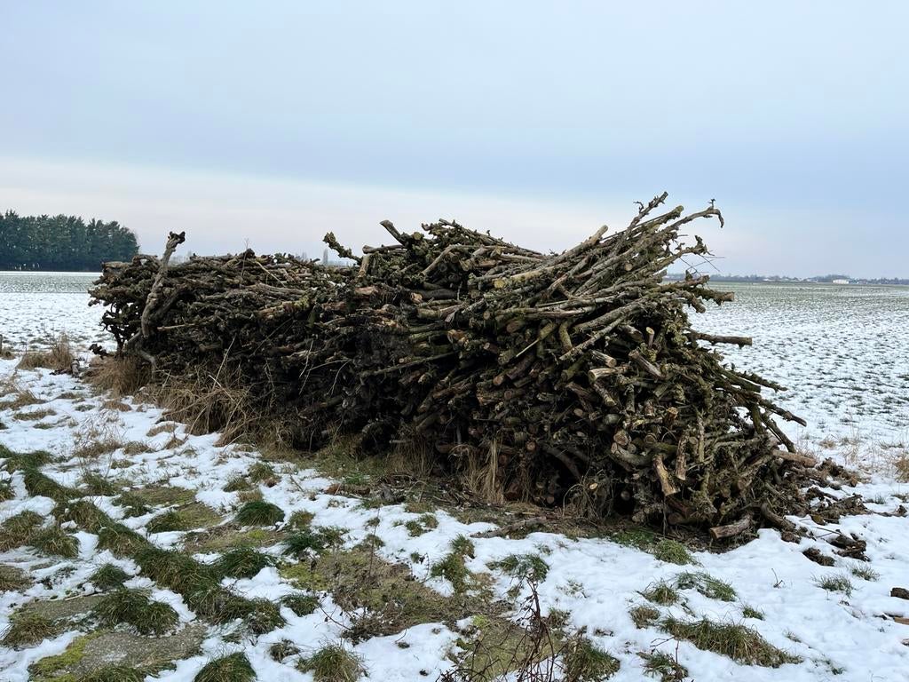 Fruitbomen haardhout, Tuin en Terras, Haardhout, 6 m³ of meer, Ophalen, Stammen