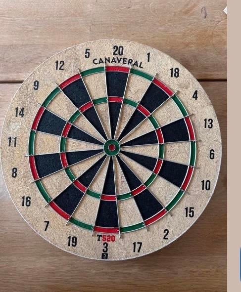 Dartbord voor beginners, Verzenden, Gebruikt, Dartbord