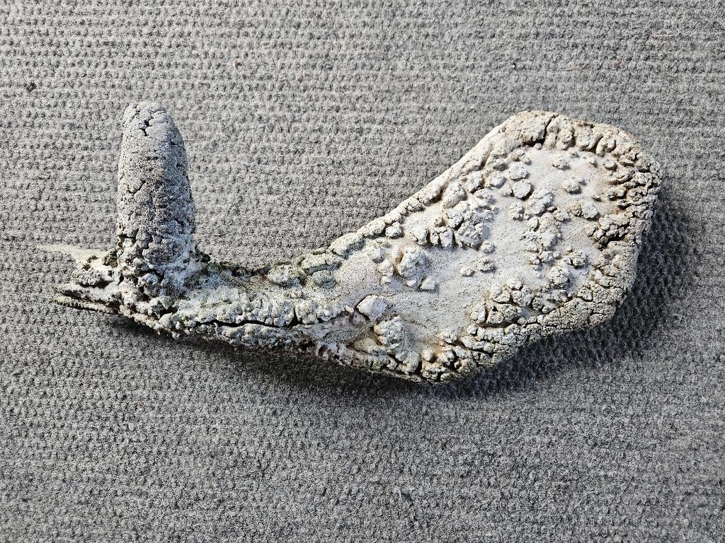 hertengewei, Verzenden, Gebruikt