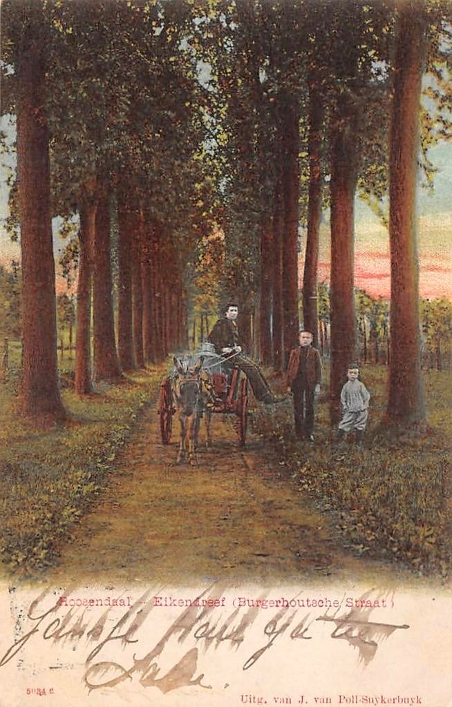 Roosendaal Eikendreef Burgerhoutsche Straat Kar Ezel, Ophalen of Verzenden, Voor 1920, Gelopen, Noord-Brabant