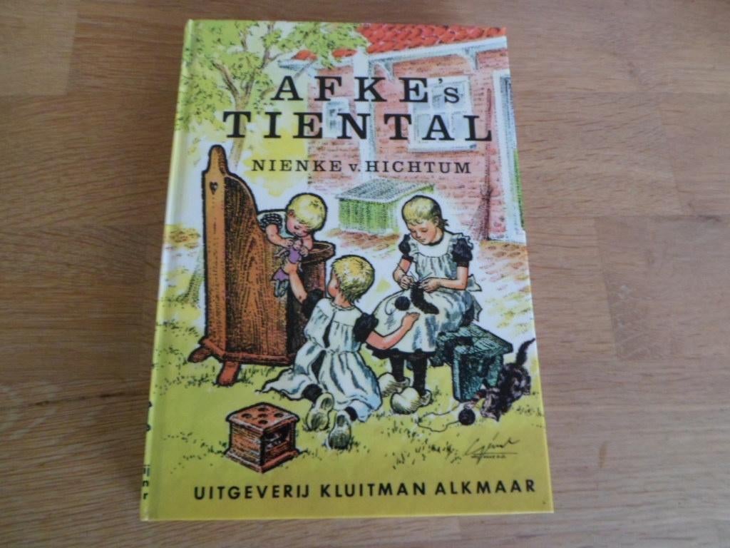 Afke's tiental - Nienke van Hichtum (Uitgeverij Kluitman), Ophalen of Verzenden, Zo goed als nieuw, Nienke van Hichtum