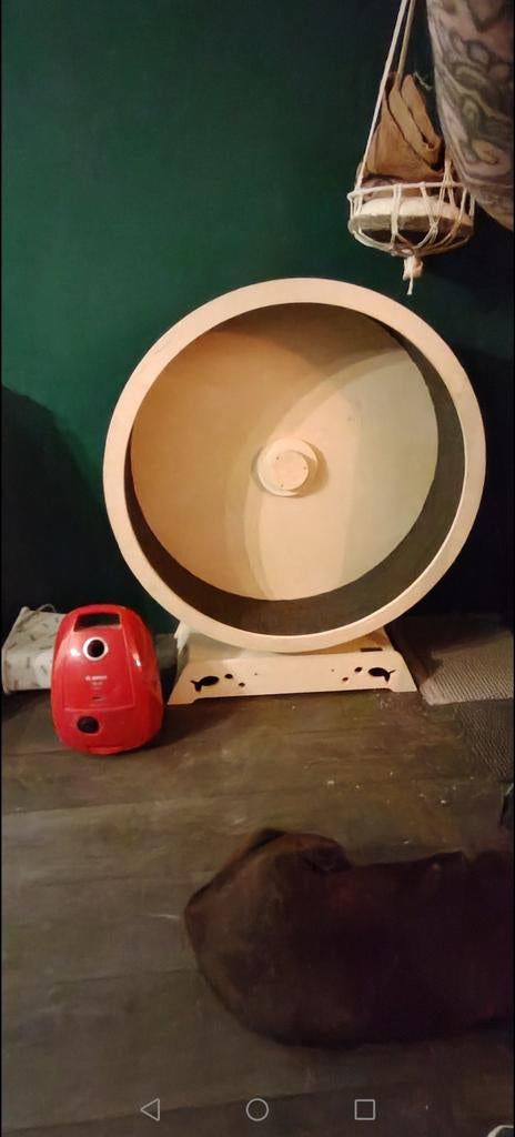 Loopwiel looprad XXL, Dieren en Toebehoren, Ophalen