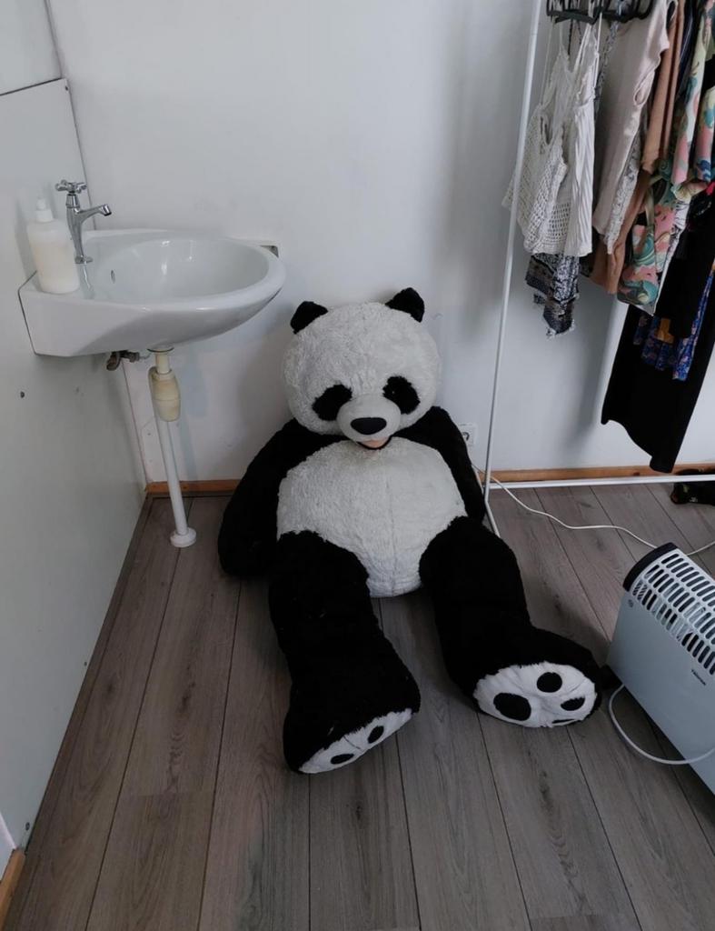 Grote panda knuffel, Gebruikt, ., Overige typen, Ophalen of Verzenden