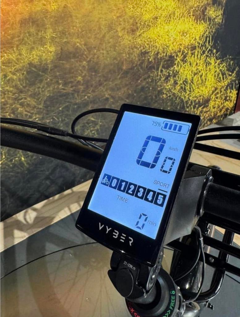 Nieuwe Vyber Move ebike met voordrager trendy!, Fietsen en Brommers, Ophalen of Verzenden, Zo goed als nieuw, Overige merken