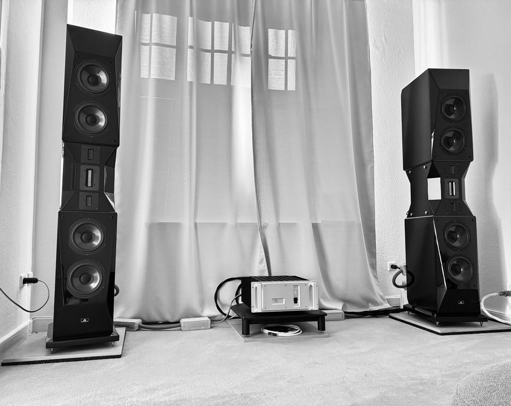 Aurum Cantus Genesis Top Highend Level Loudspeaker, Audio, Tv en Foto, Luidsprekers, Zo goed als nieuw, Front, Rear of Stereo speakers