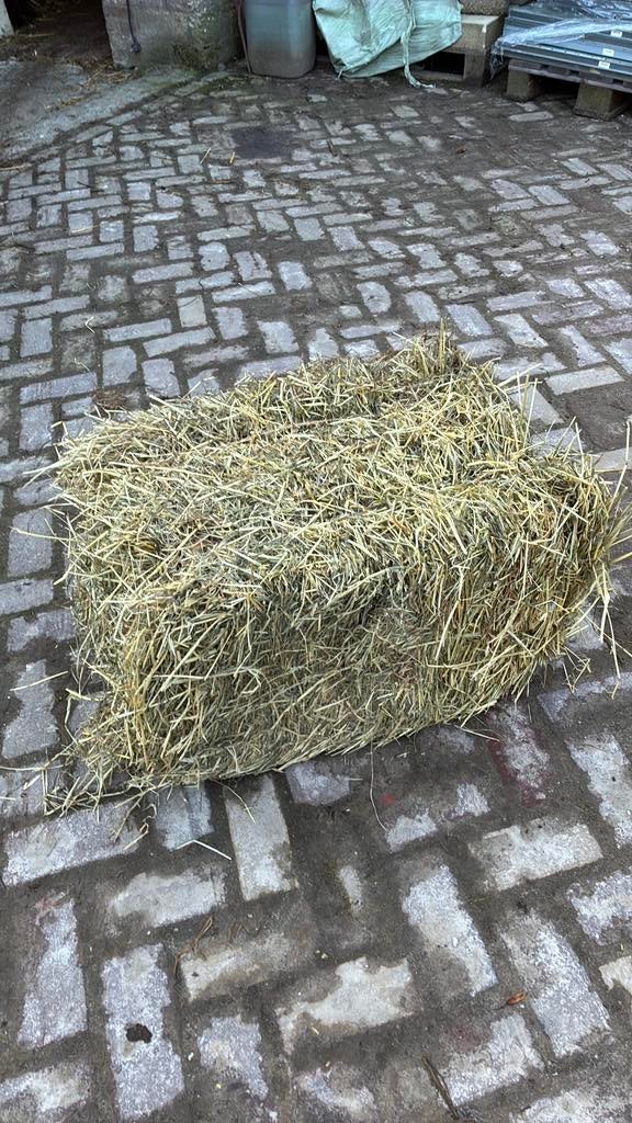 Te koop kleine balen hooi, Ophalen of Verzenden, Vee