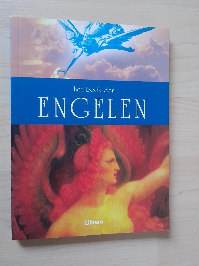 NIEUW HET BOEK DER ENGELEN Francis Melville, Boeken, Ophalen of Verzenden, Nieuw