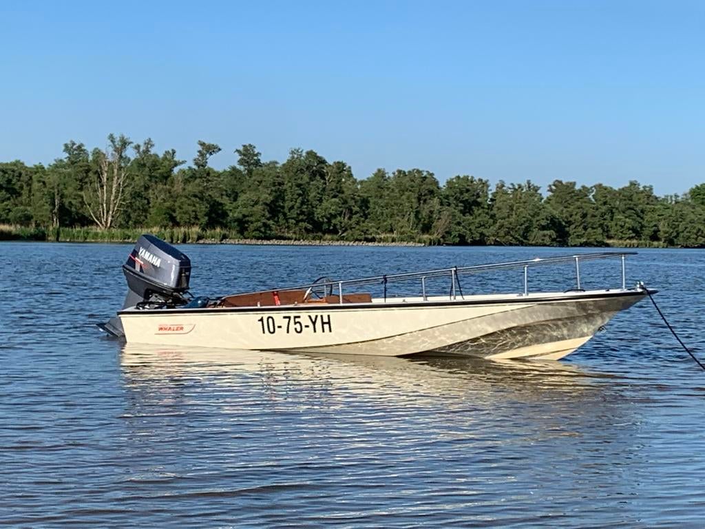 Boston Whaler 15 Super Sport met Yamaha 70 pk en trailer, Ophalen, Gebruikt, Minder dan 70 pk, 3 tot 6 meter
