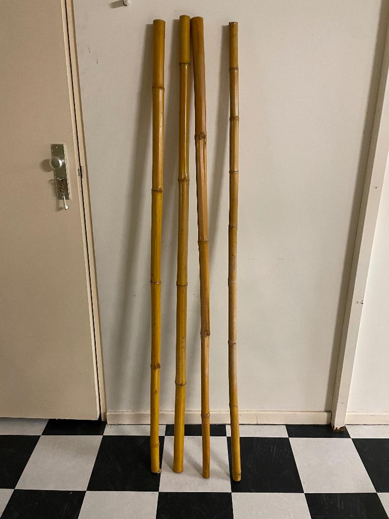 Bamboestokken, Ophalen, Gebruikt, Minder dan 180 cm, Palen